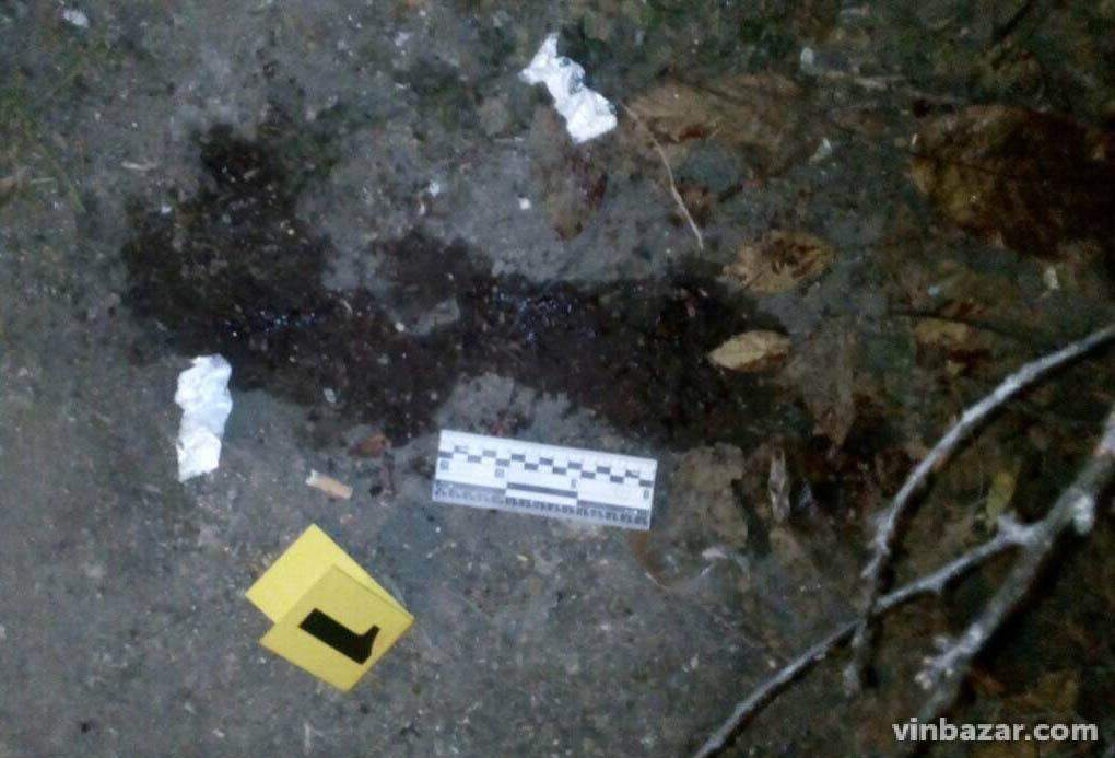 34659833 e66e 443f 88b8 744625922367