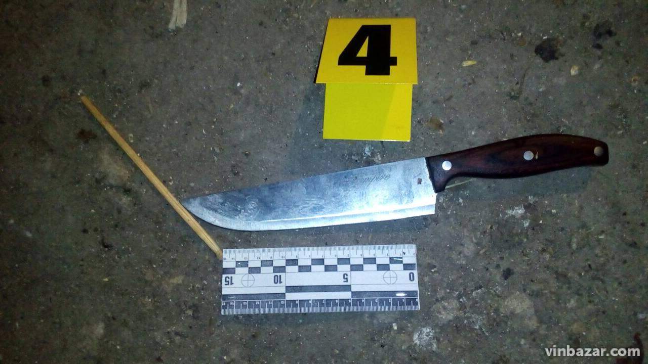 A5908d29 73e2 41c8 a6be 5b57579f3e81