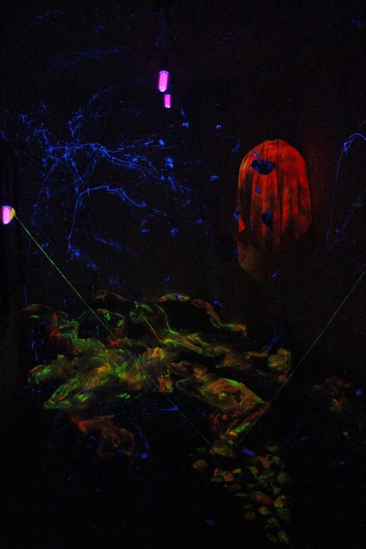 Img 0874
