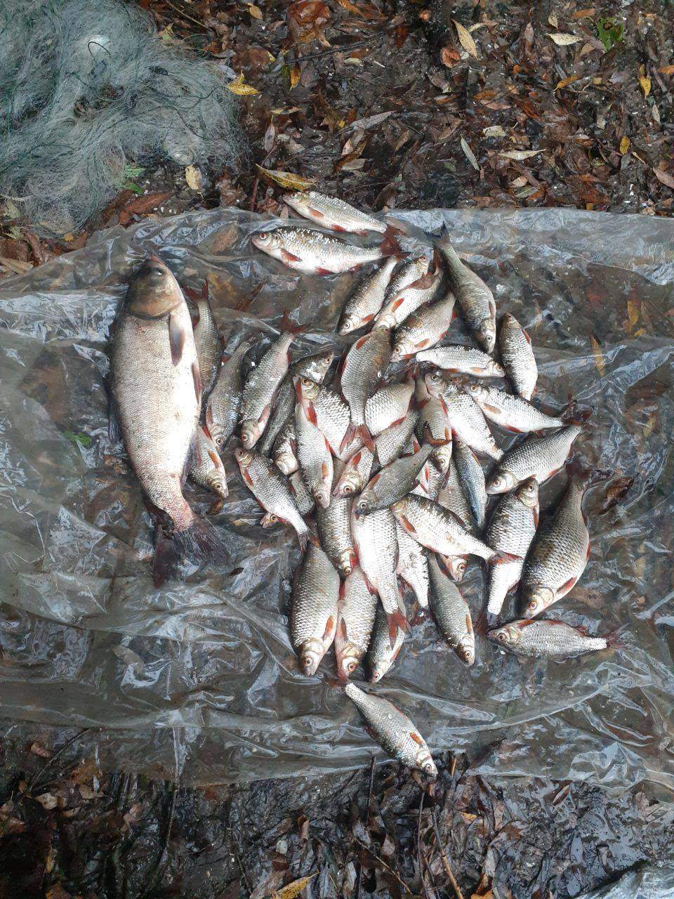 122064302 906562903204564 4370082402279635878 o