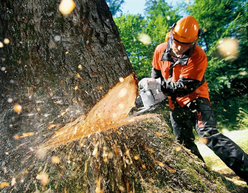 Stihl oragetblob