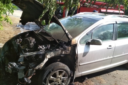 Medium 15295687402 1 1