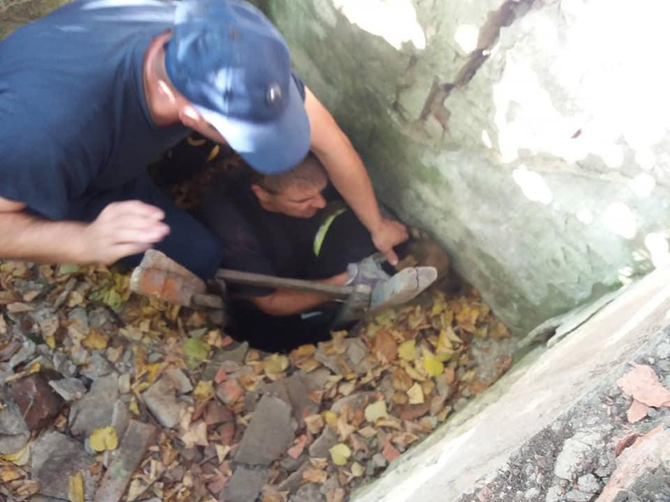 39253000 1768541913236769 2509075261023059968 n