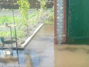 60711987 1734446873355333 5600084621757775872 n