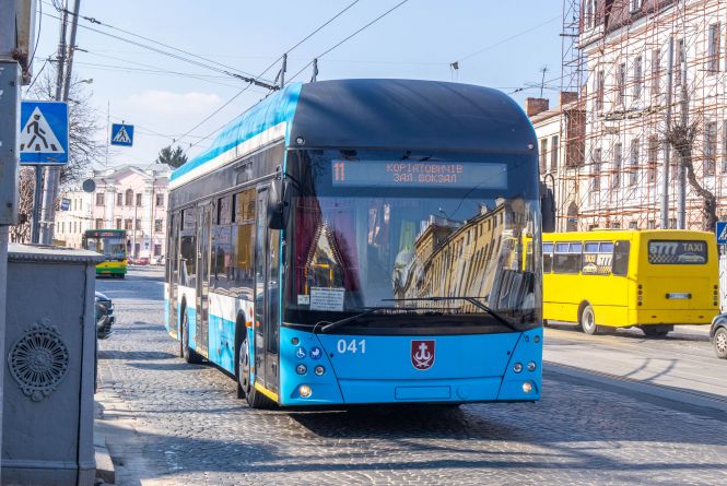 1738267 rozvitok transportu vinnitsi na pauzi pid pitannyam  novi vinline i turetski avtobusi
