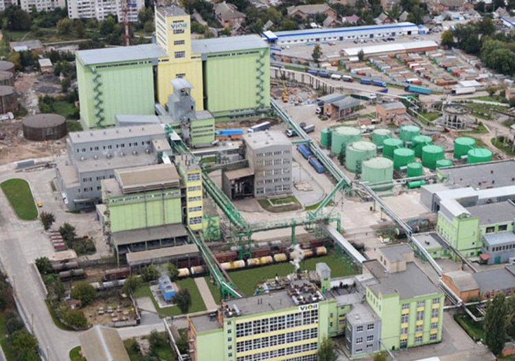 Vinnyczykyj ozhk vioil